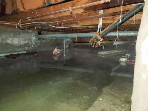 Best Water damage restoration near me  in Social Circle, GA