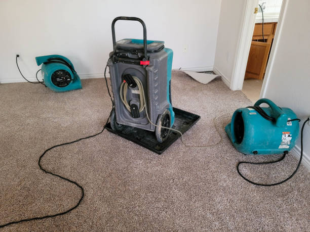 Water damage restoration experts in GA