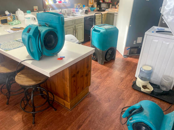  Social Circle, GA Water damage restoration Pros