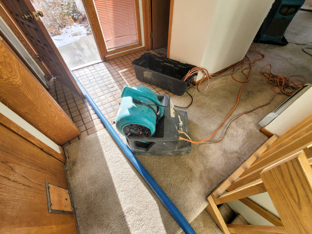 Best Sewage cleanup and water damage restoration  in Social Circle, GA