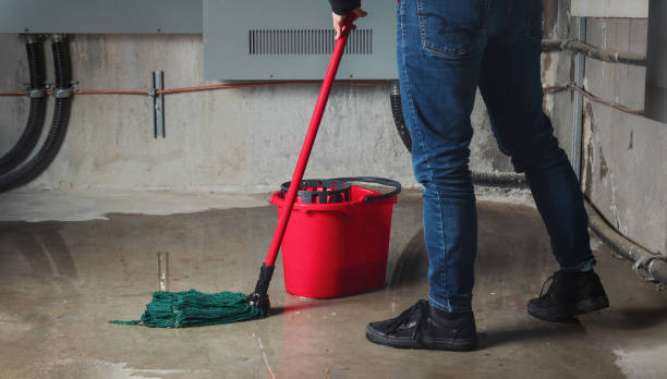 Best Flooded house restoration  in Social Circle, GA