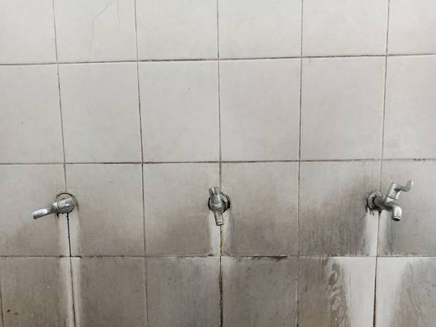 Best Water damage restoration experts  in Social Circle, GA