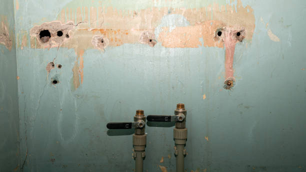 Best Flooded house restoration  in Social Circle, GA