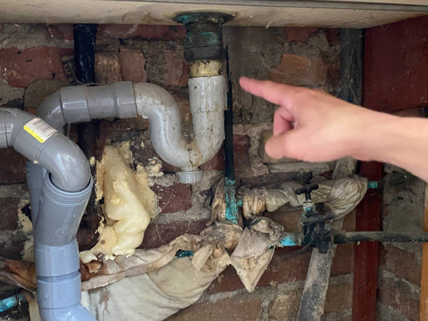 Best Mold removal after water damage  in Social Circle, GA