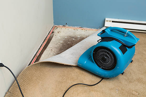 Best Emergency water damage restoration  in Social Circle, GA