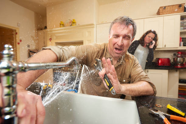 Best Carpet water damage restoration  in Social Circle, GA